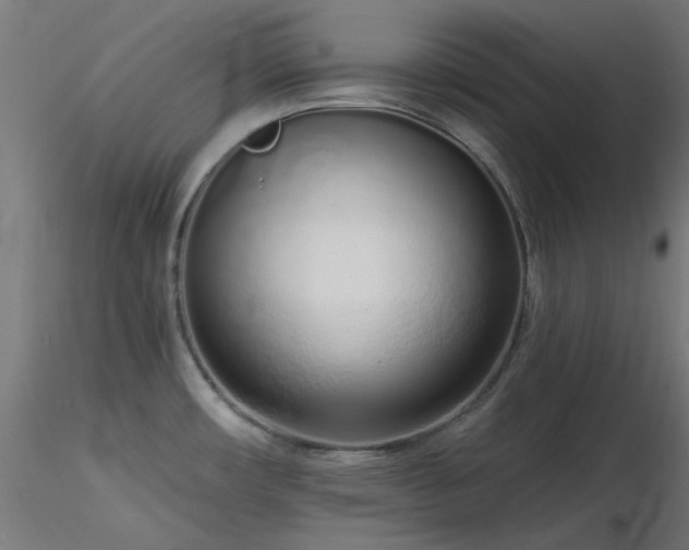 X0000116771482200912171521