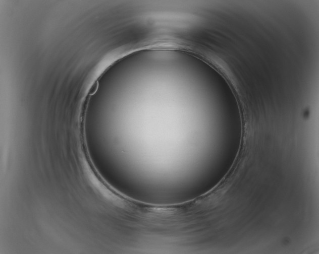 X0000116771483200912171521