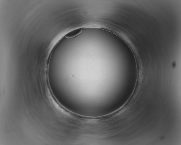X0000116771484200912171521