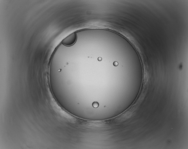 X0000116771486200912171521