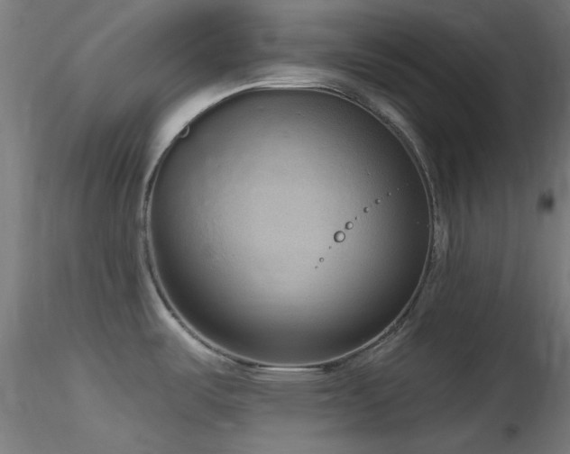 X0000116771487200912171521