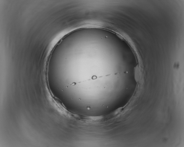 X0000116771488200912171521