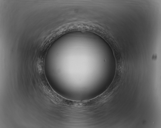 X0000116771490200912171520