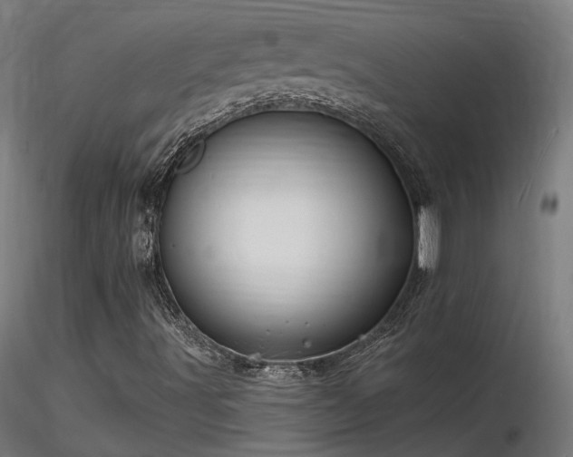 X0000116771491200912171520