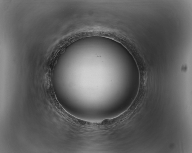 X0000116771493200912171521