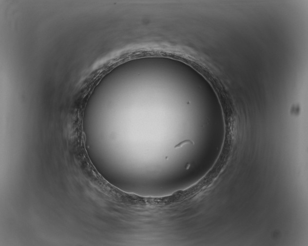 X0000116771494200912171521