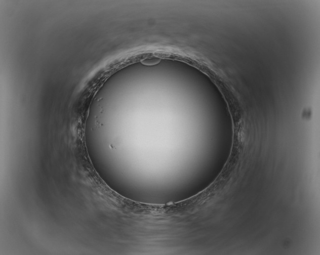 X0000116771495200912171521