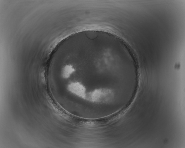 X0000116771497200912171521