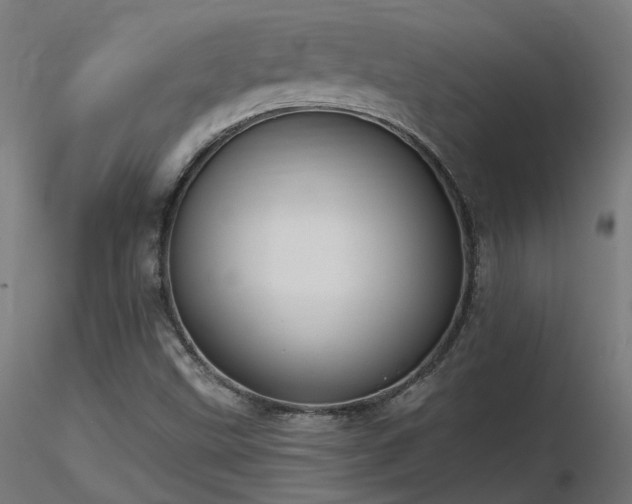 X0000116771499200912171521