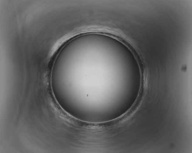 X0000116771501200912171521