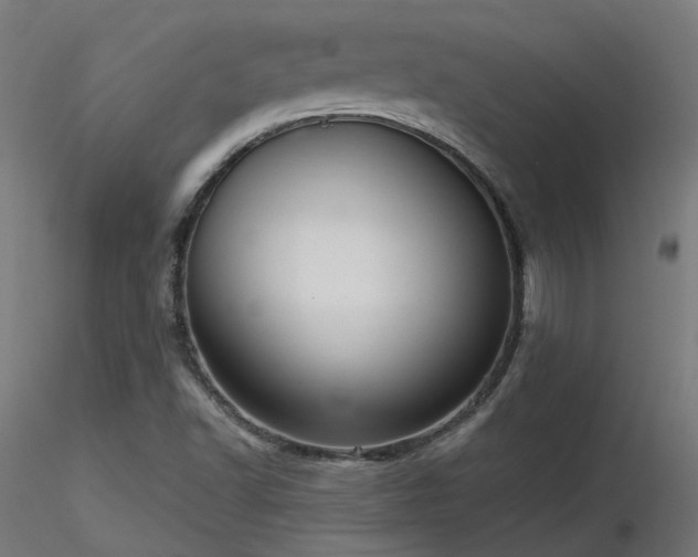 X0000116771502200912171521