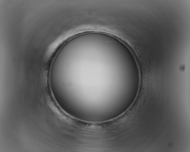 X0000116771503200912171521