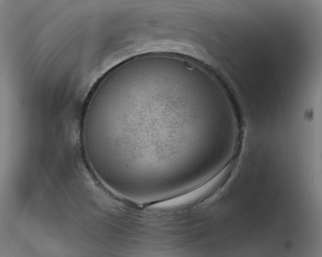 X0000116771505200912171521