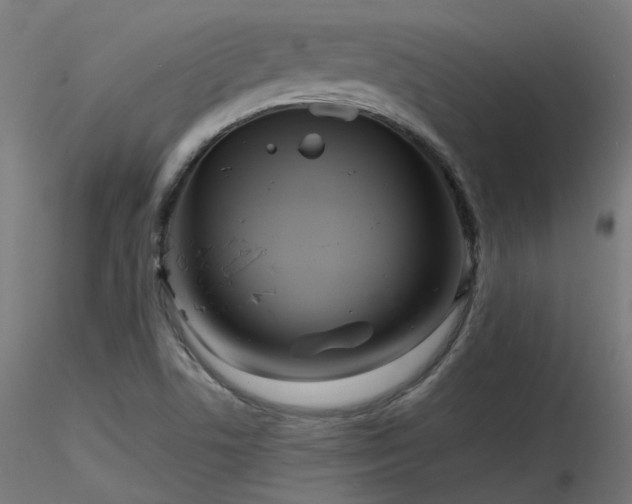 X0000116771506200912171521