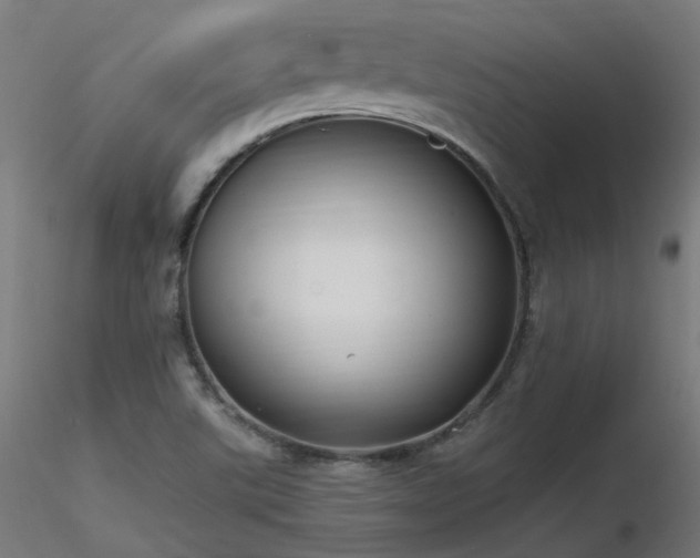 X0000116771507200912171521