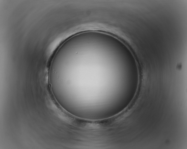 X0000116771509200912171521