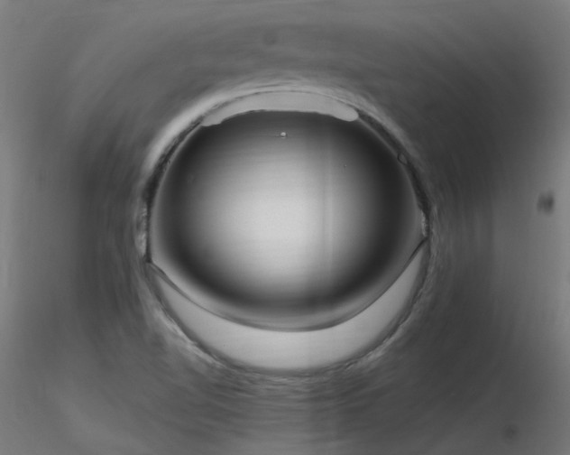 X0000116771510200912171521