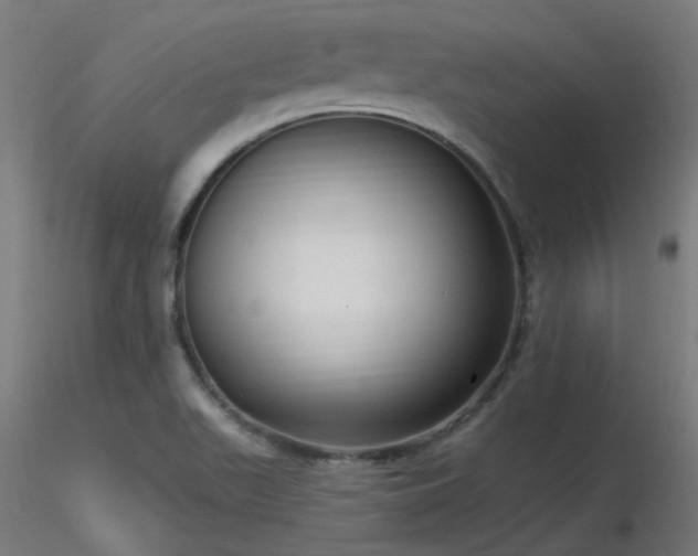X0000116771511200912171521
