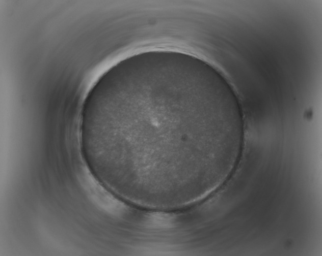 X0000116771514200912171521