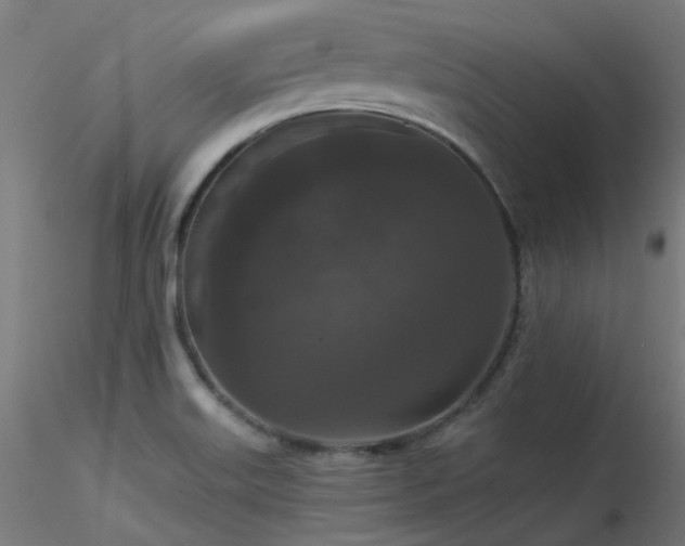 X0000116771515200912171521