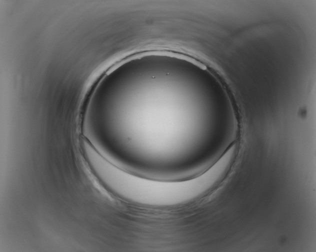 X0000116771517200912171521