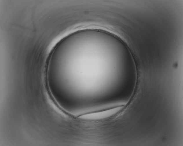 X0000116771518200912171521