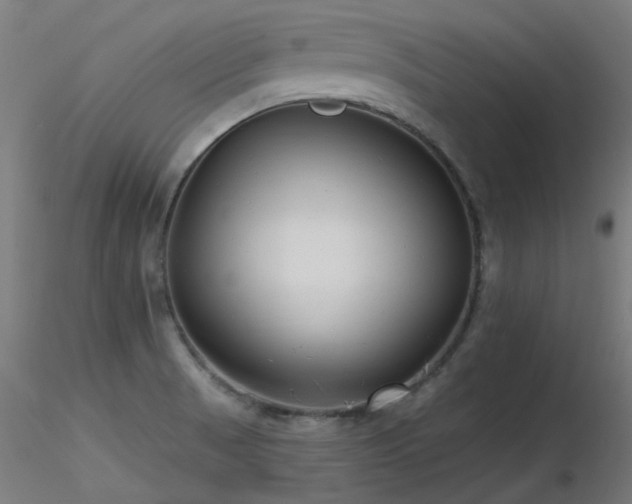 X0000116771521200912171521