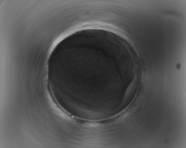 X0000116771522200912171521