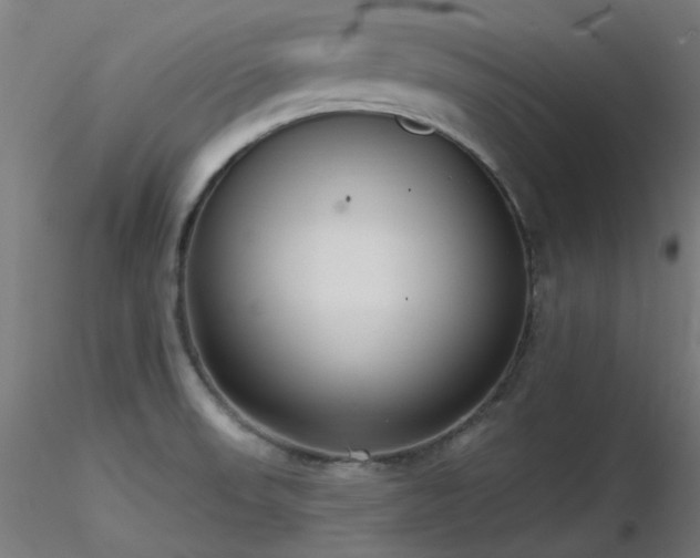 X0000116771523200912171521