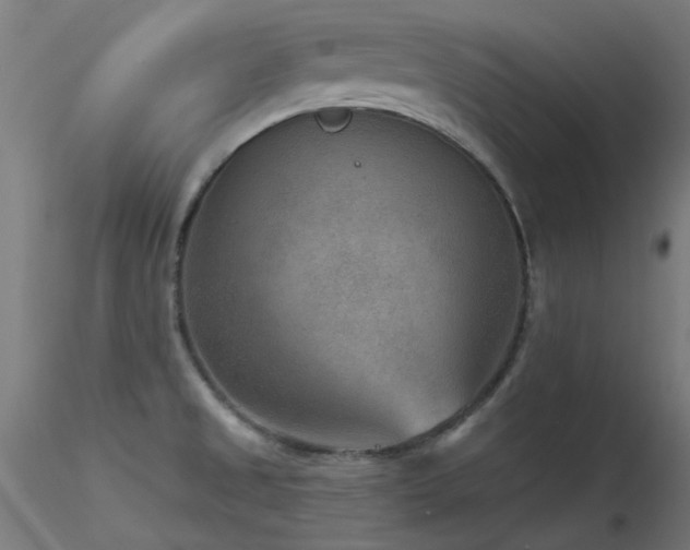 X0000116771525200912171521