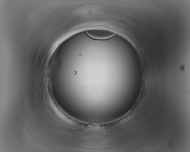 X0000116771526200912171521