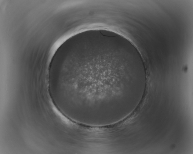 X0000116771527200912171521