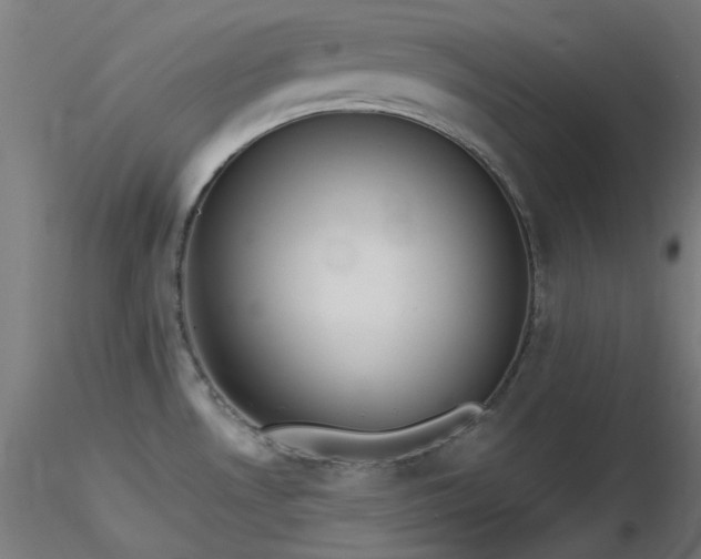 X0000116771530200912171521