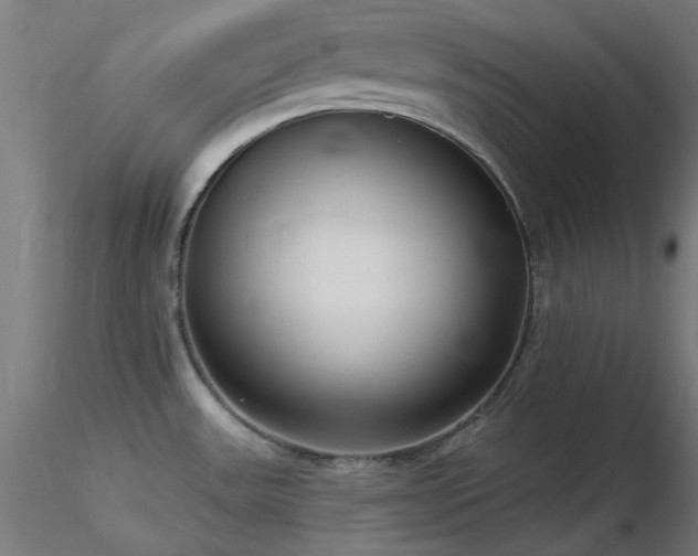 X0000116771531200912171521