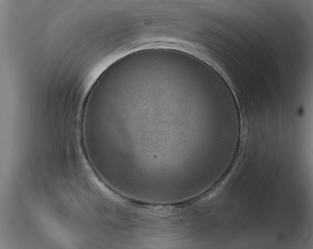 X0000116771533200912171521