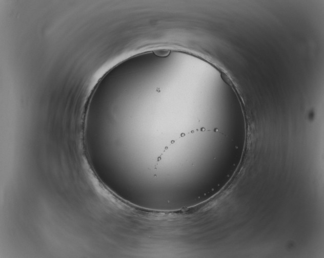 X0000116771534200912171521