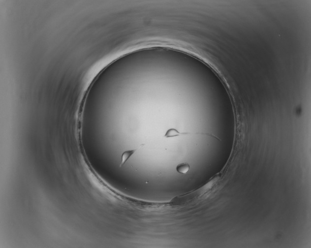 X0000116771535200912171521