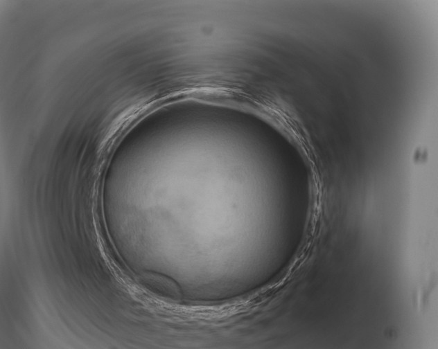 X0000116770001200912241213