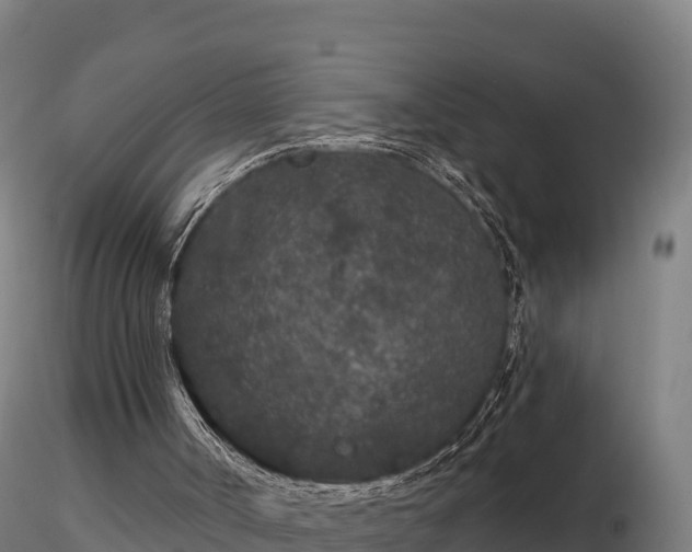 X0000116770002200912241213