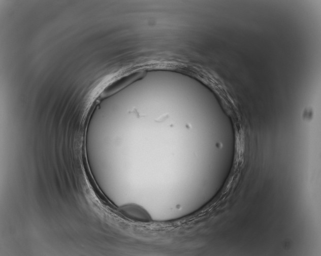 X0000116770003200912241213