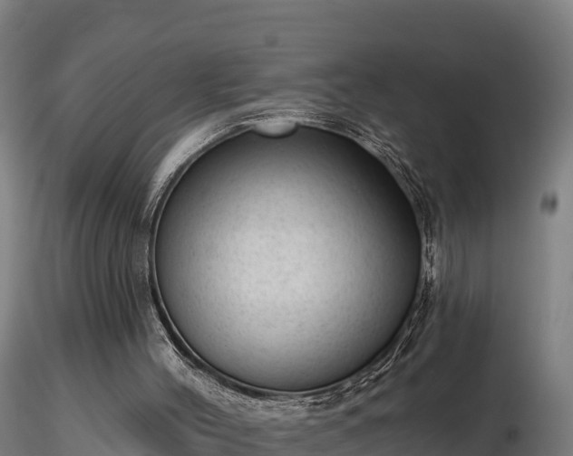 X0000116770004200912241213