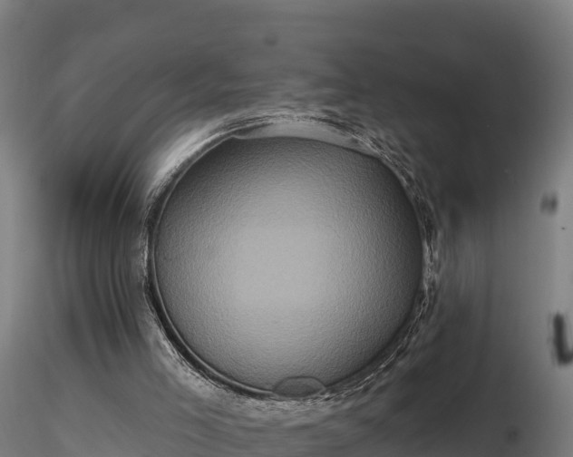 X0000116770005200912241213