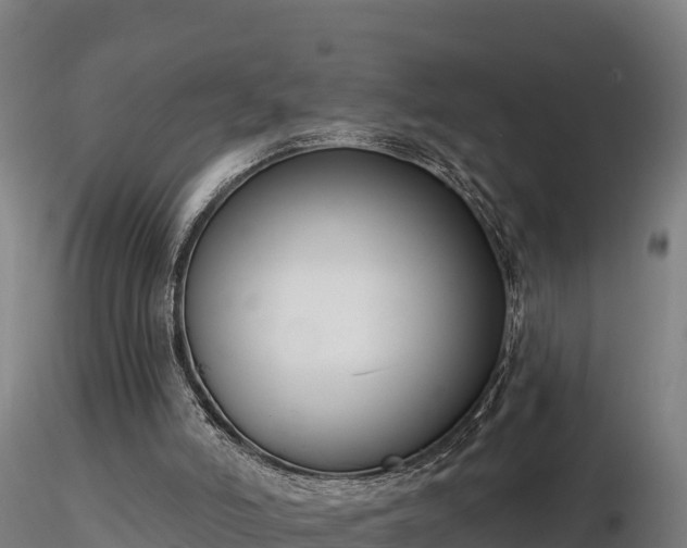 X0000116770006200912241213