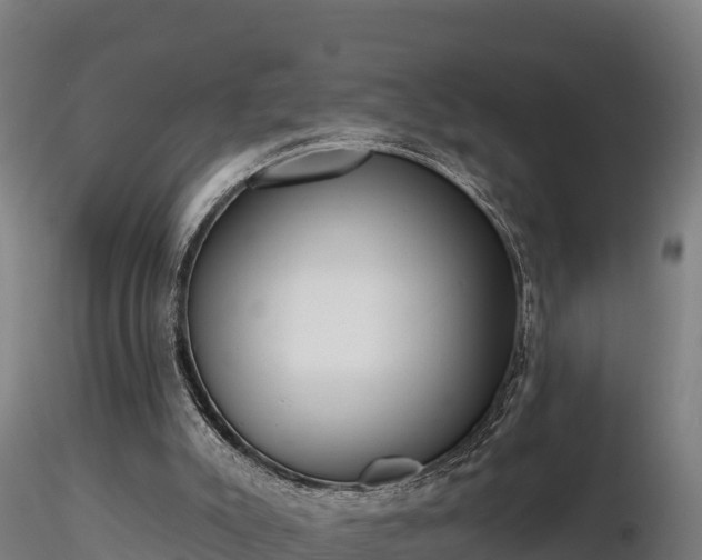 X0000116770007200912241213