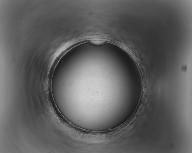 X0000116770008200912241213