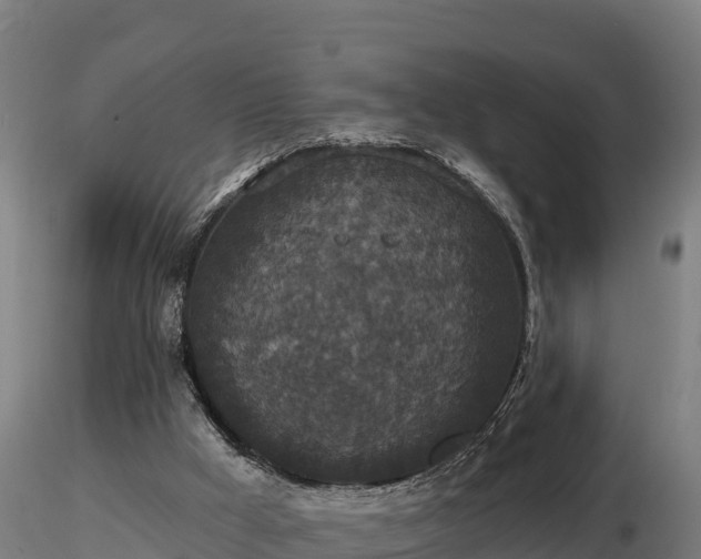 X0000116770009200912241213
