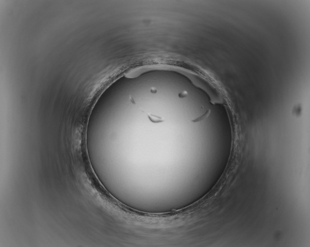 X0000116770010200912241213