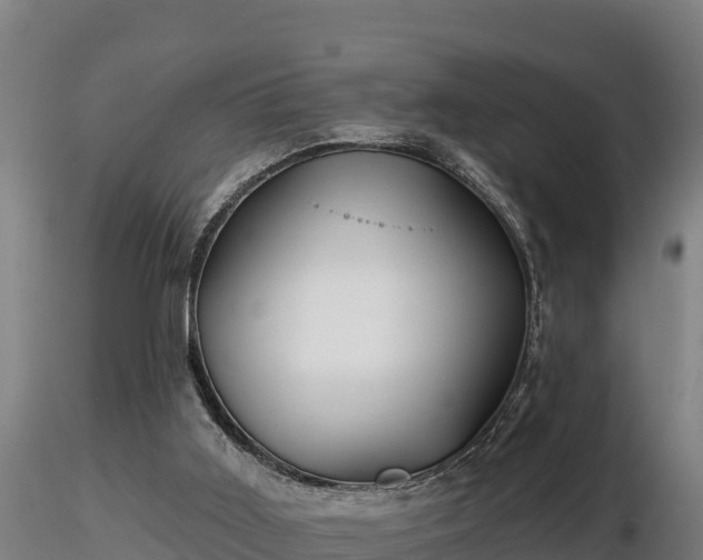 X0000116770011200912241213