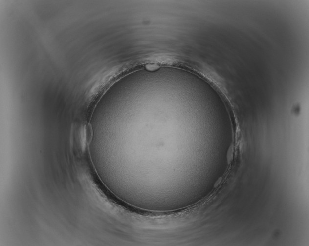 X0000116770013200912241213