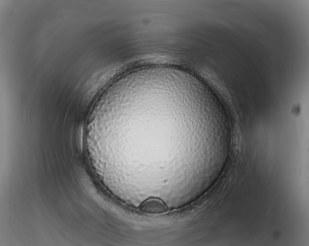 X0000116770014200912241213